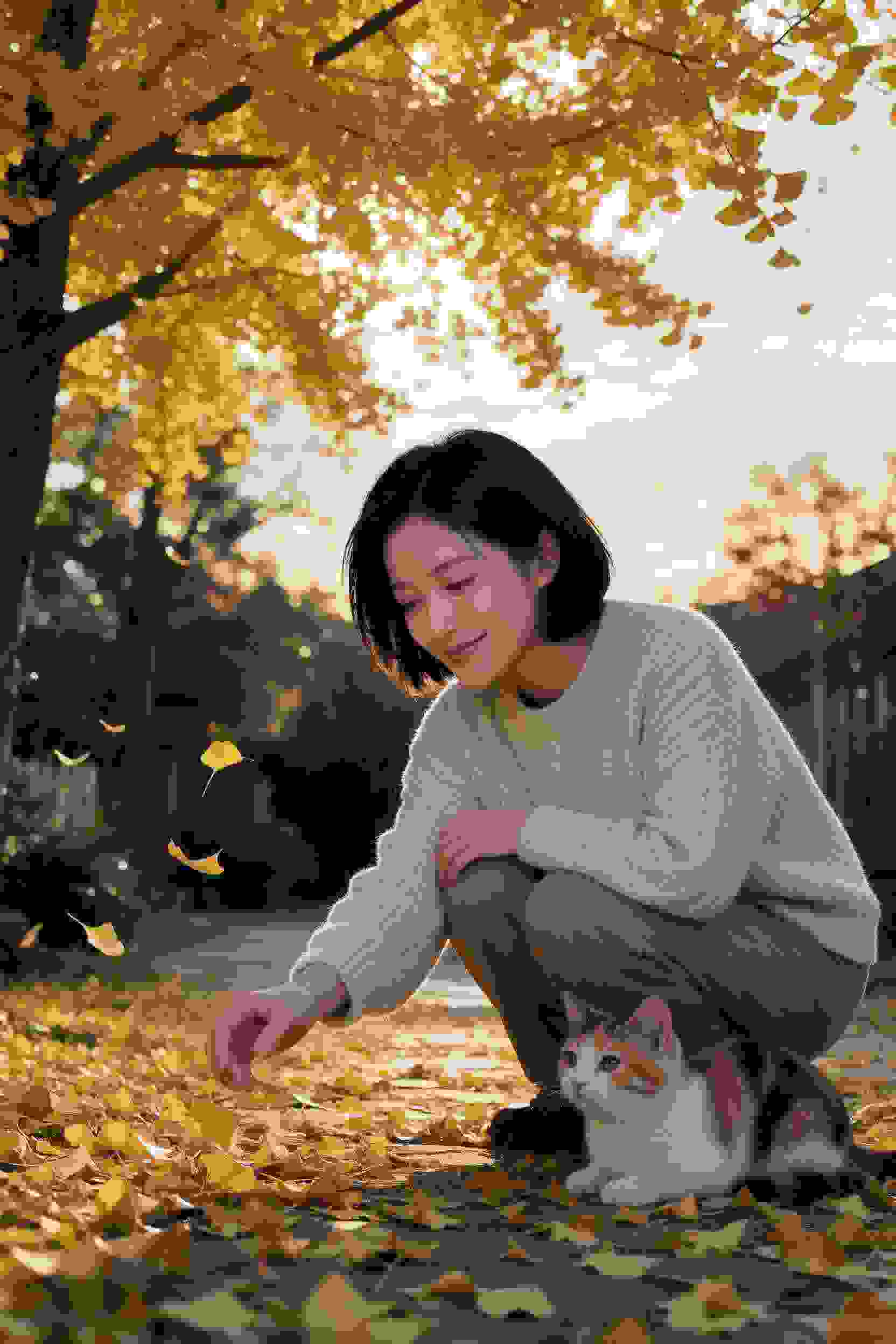 星辰问卷